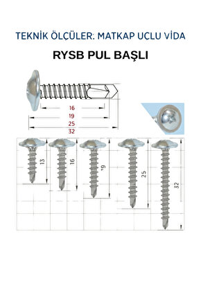 DEMİR CİVATA Pul Başlı (sding) Rysb Akıllı Vida 3,9x13 Mm (50 Adet)