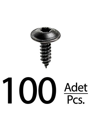 Renault Peugeot Citroen Skoda Fiat Seat için Torx (Tork) Vida Klips - 100 Adet