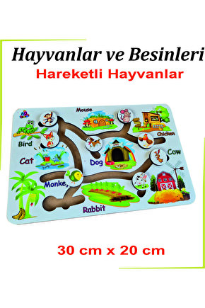 Hayvanlar ve Besinleri Beyaz Hareketli Hayvanlar İngilizce