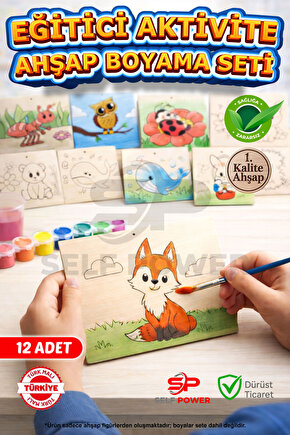 12 Adet Ahşap Boyama Kiti Eğitici Ve Öğretici Seti