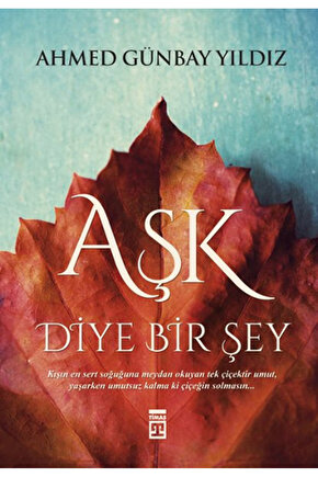 Aşk Diye Bir Şey