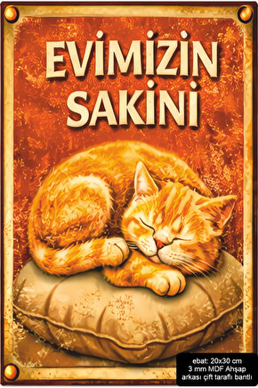 kedi evimizin sakini ev dekorasyon mdf tablo retro ahşap poster pano