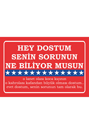 dostum senin sorunun ne biliyor musun amerikan filmleri meşhur replikler duvar yazıları ahşap poster