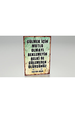 motivasyon sözleri Victor Hugo özlü sözler duvar yazıları retro ahşap poster