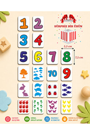 Zeka Kartları Ahşap Eğitici Hafıza Eşleştirme Oyunu Sevimli Sayılar Oyuncak ( 5,5 X 7,5 Cm)