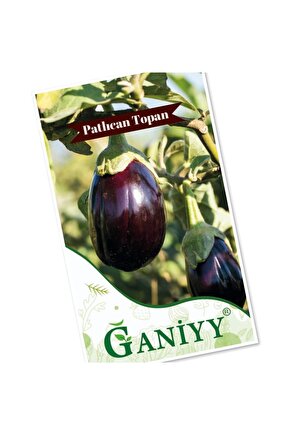 Ganiyy 100+ Patlıcan Topan Tohumu