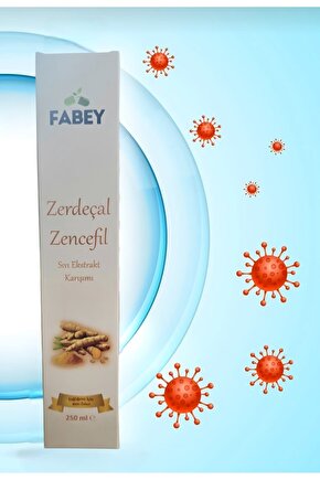 Zerdeçal & Zencefil Sıvı Ekstrakt Karşımı 250ml x2 Adet