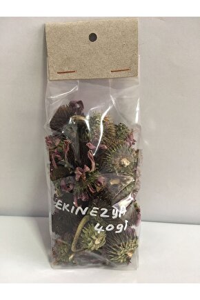 Ekinezya Çiçeği 40 gr