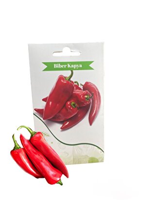 Kapya Biber Tohumu 5gr