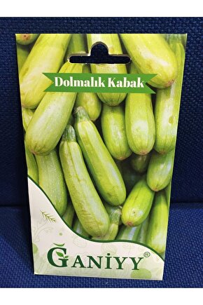 Dolmalık Kabak Tohumu 5 gr
