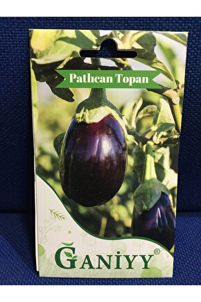 Patlıcan Topan Tohumu 5 gr