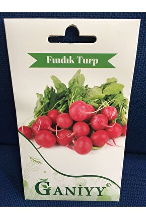 Fındık Turp Tohumu 5 gr