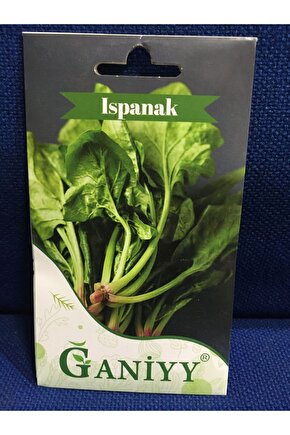 Ispanak Tohumu 5 gr