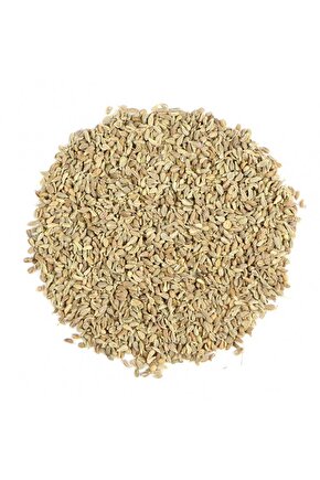 TANE ANASON 100 GR