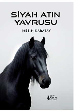Siyah Atın Yavrusu - Metin Karatay