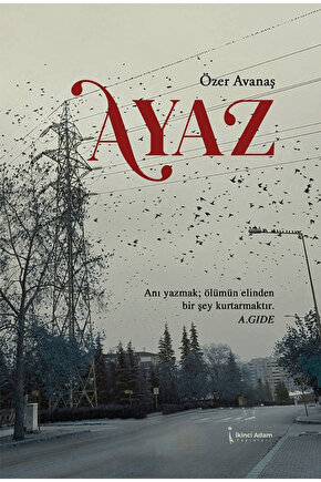 Ayaz  Özer Avanaş  İkinci Adam Yayınları  9786253736170