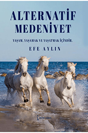 Alternatif Medeniyet  Efe Aylın  İkinci Adam Yayınları  9786253732455