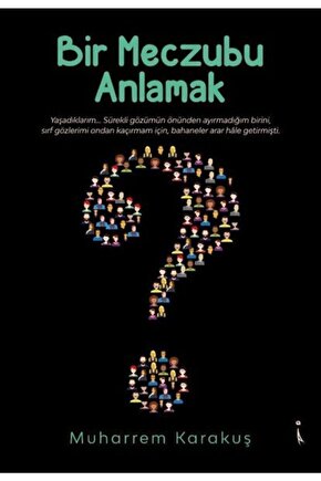Bir Meczubu Anlamak