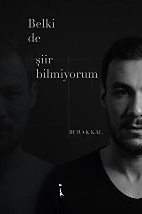 Belki De Şiir Bilmiyorum