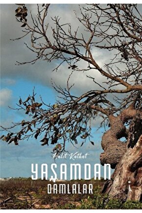 Yaşamdan Damlalar
