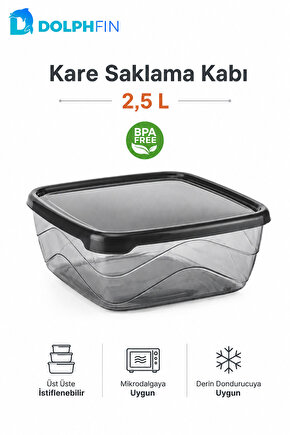 Kare Saklama Kabı 2,5 Litre 21x21x8,5 cm Füme Şeffaf Siyah Kapaklı BPA İçermez