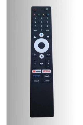 Dreamstar 55DSE101 İle Uyumlu Mikrofonlu Google Led Tv Kumanda