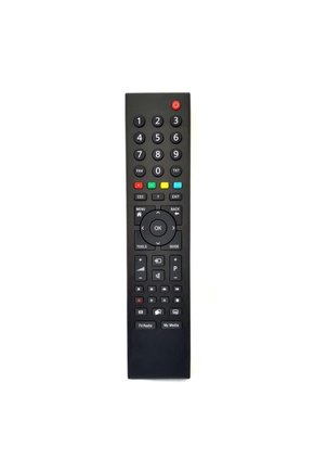 B22LW5533 LED Tv Kumandası