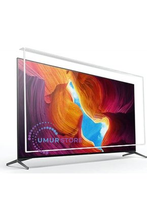 55UA9600 Uyumlu TV Ekran Koruyucu