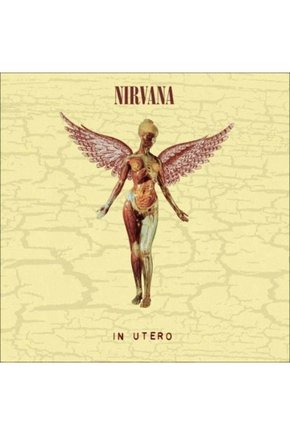 Nirvana In Utero LP Plak