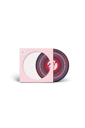 Take That Everything Changes Limited Zoetrope National Album Day 2024 Edition LP Plak