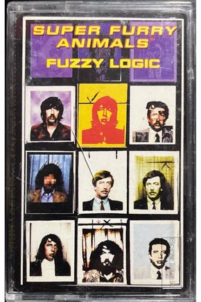 (Plak Değildir KASET tir) Kaset Fuzzy Logic Super Furry Animals Kaset