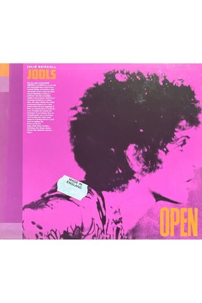 (Plak Değildir CD dir) CD Julie Driscoll Jools Open CD