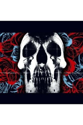 Deftones Deftones LP Plak