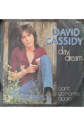 David Cassidy Day Dream 45lik Plak