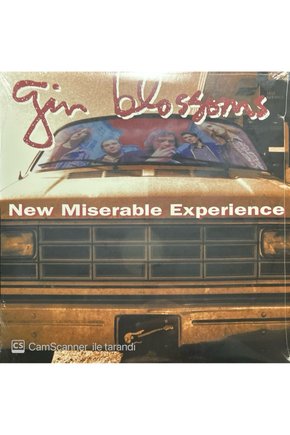 Gin Blossoms New Miserable Experience LP Plak