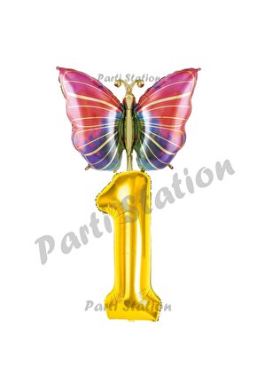 Gökkuşağı Kelebek Konsept 1 Yaş Doğum Günü Balon Set Butterfly Bahar Tema Doğum Günü Balon