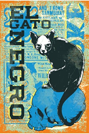 Şüpheli Kedi Retro Ahşap Poster