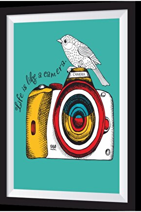Kuşlu Fotoğraf Makinesi Sanatsal Çerçeve Görünümlü Ahşap Tablo