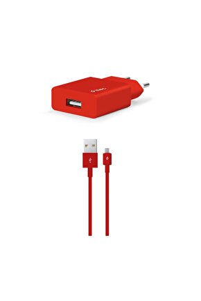 SmartCharger Seyahat Şarj Aleti 2.1A + Micro USB Kablo