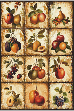 vintage tarzda meyve resimleri ev mutfak dekorasyon tablo retro ahşap poster