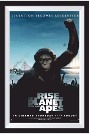 Maymunlar Cehennemi Sinema Afişi Çerçeve Görünümlü Retro Ahşap Poster