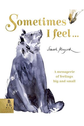 Sometimes I Feel...  Sarah Maycock  Templar Publishing  9781800781283