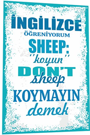 Duvar Yazıları Ingilizce Öğreniyorum Sheep Koyun Demek Retro Ahşap Poster 780