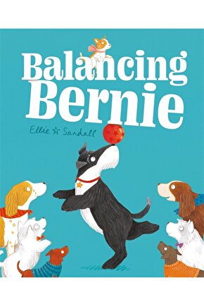 Balancing Bernie