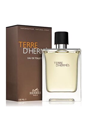 Hermes Terre DHermes EDT 100 ml Erkek Parfüm