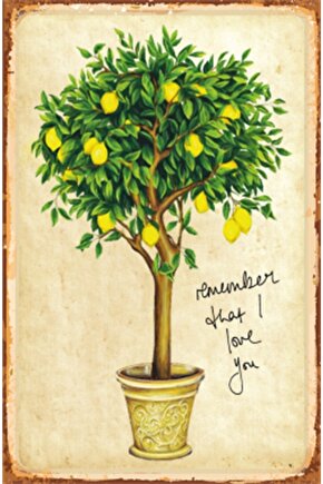 Saksıdaki Limon Ağacı Retro Ahşap Poster