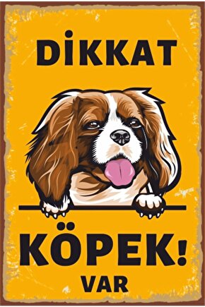 Dikkat Köpek Var Retro Ahşap Poster