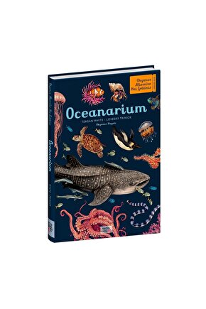 Oceanarium - Okyanus Müzesi | ansiklopedik Çocuk Kitabı