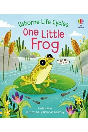 One Little Frog | 0-3 Yaş Çocuk Ingilizce Doğa Kitabı