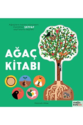 Ağaç Kitabı | 6-9 Yaş Çocuklar Için Kaynak Kitap